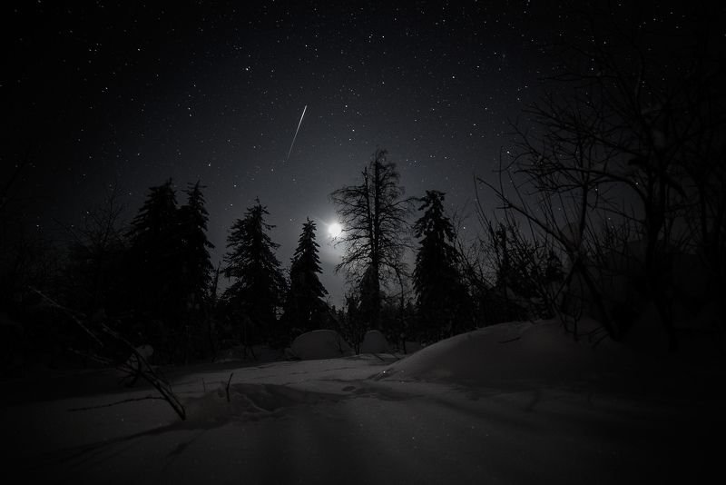 Ночь в тайге фото превью