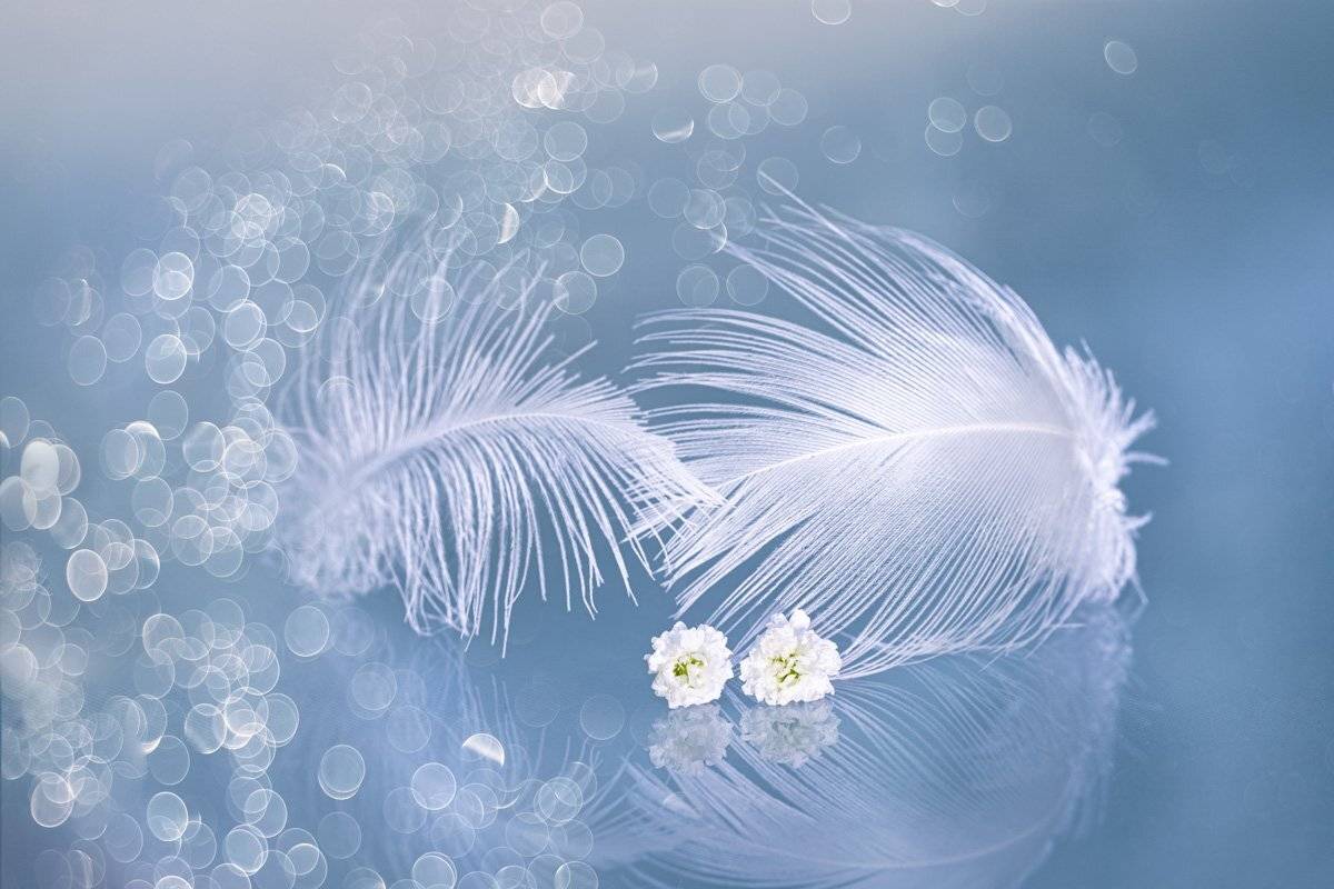 close-up, Игорь Копцев