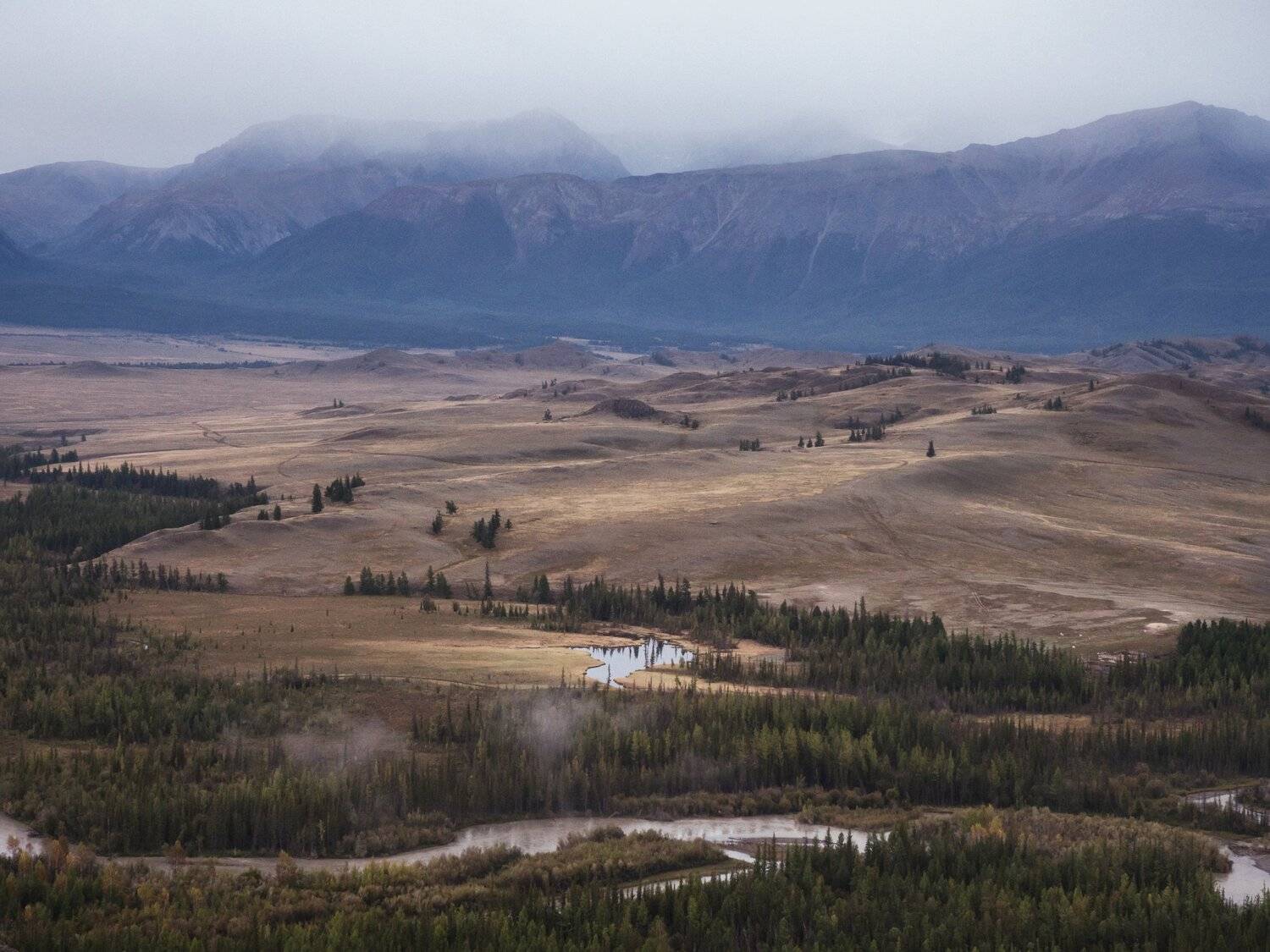 , Ольга Беккер