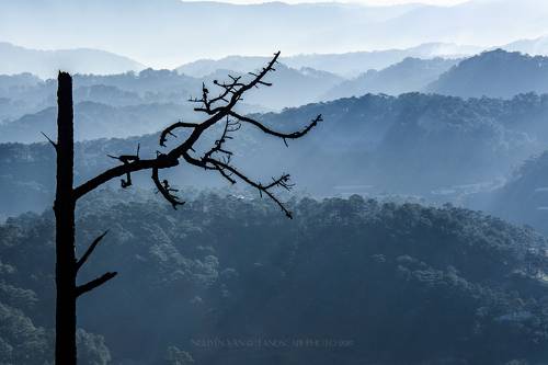 Da Lat 2019