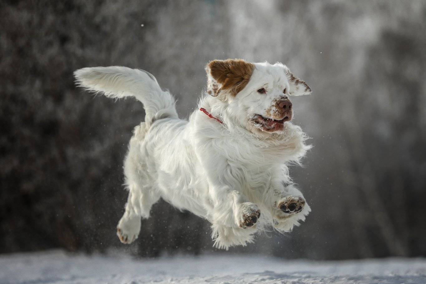 , Андрей Ершов