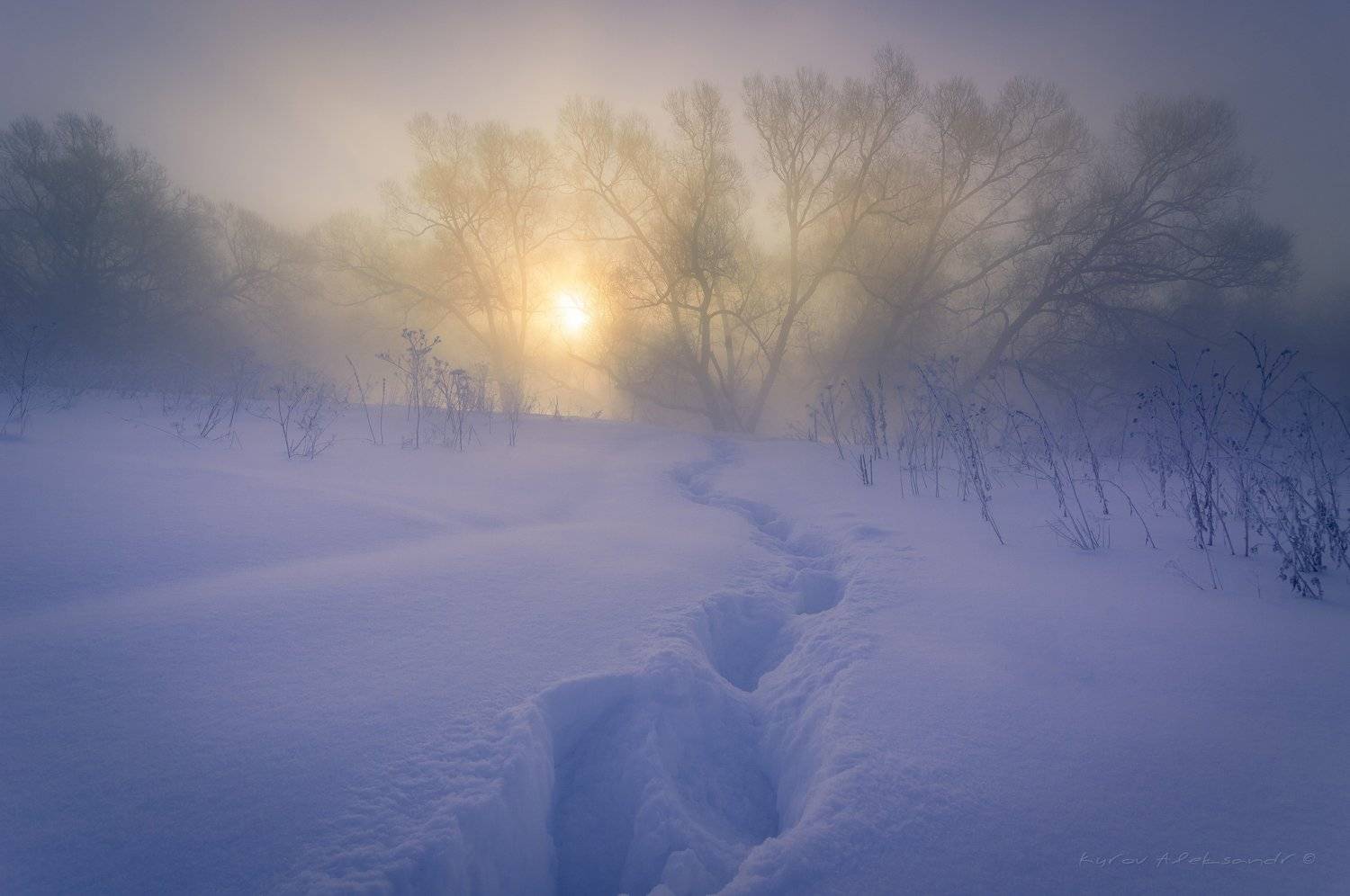 туман, московская область, утро, природа, пейзаж, зима, мороз, солнце, Александр Кыров