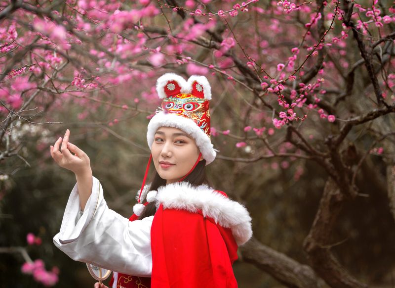 Chinese princese in plum blossom фото превью