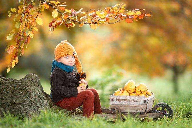 фото превью