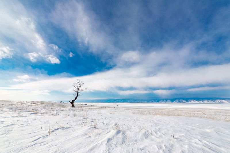 Ольхонский минимализм фото превью