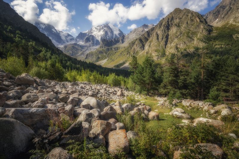 пейзаж, горы, кавказские горы, природа россии, кабардино-балкария, Летние краски в Кавказских горах фото превью