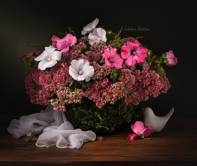 цветы,букет,мальва С лаватерой фото превью