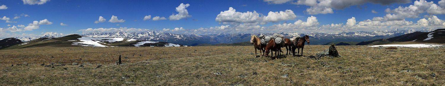 Алтай, Катунский хребет, Южно-чуйский, Артем Головин