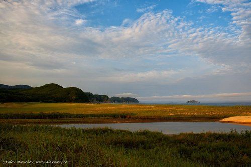 Простой летний пейзаж