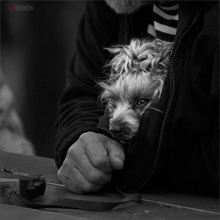 , Виктор Перякин