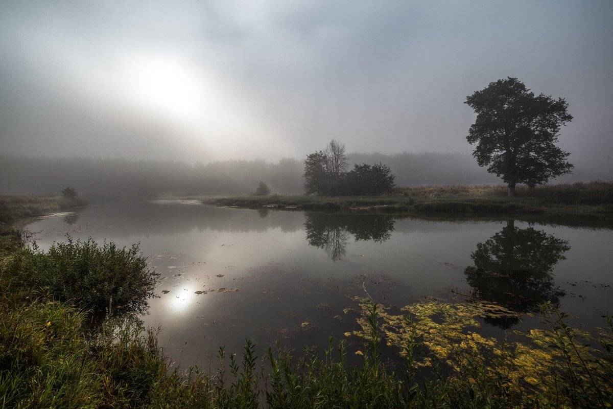 , Евгений Цветков