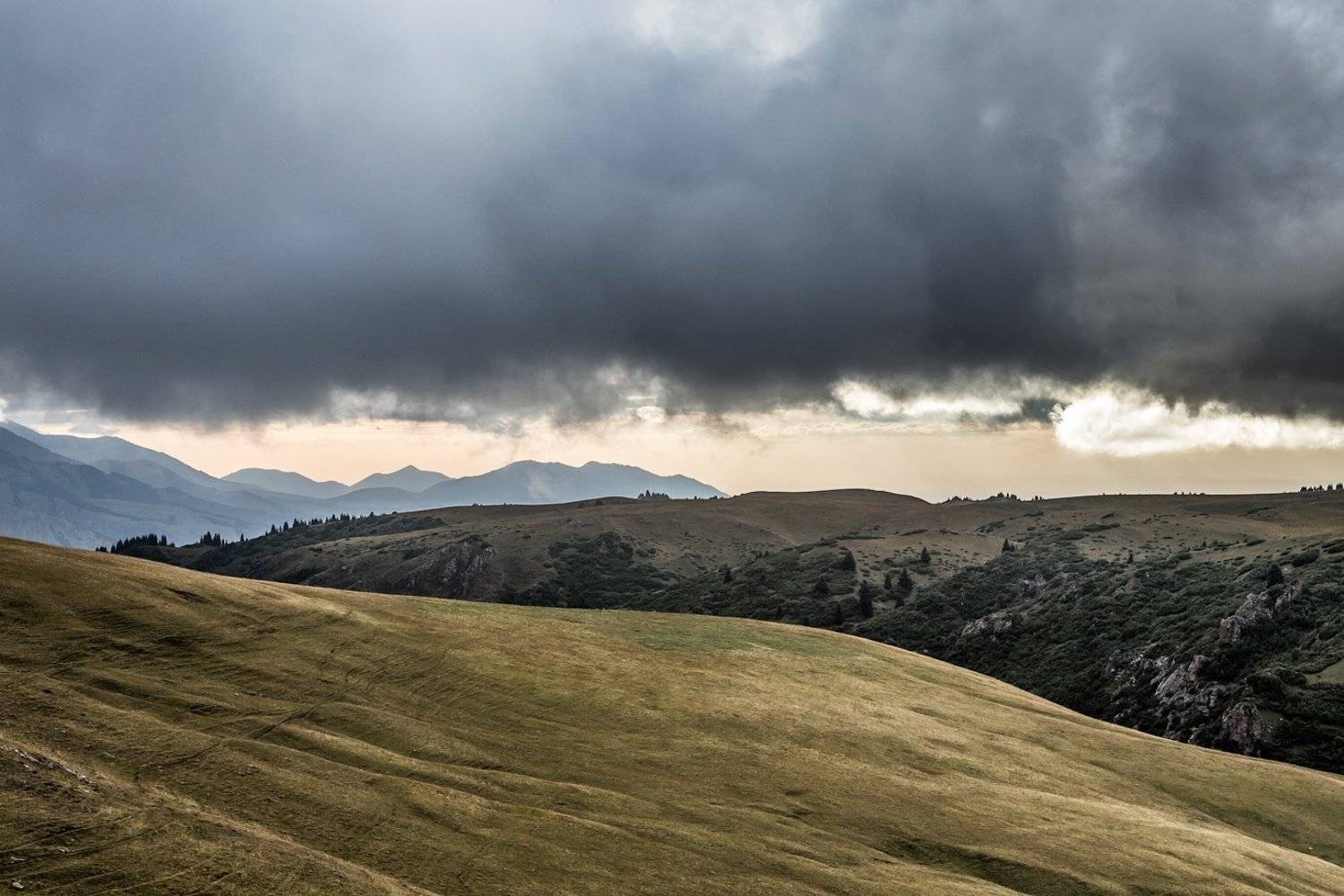 , Сергей Теректі