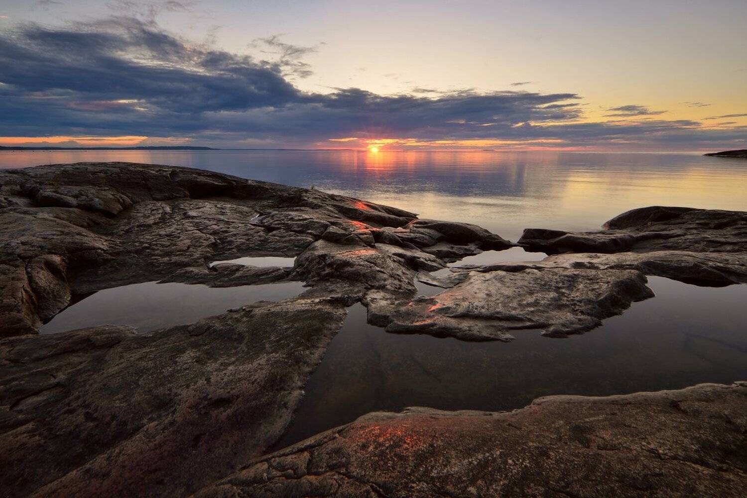 , Максим Евдокимов