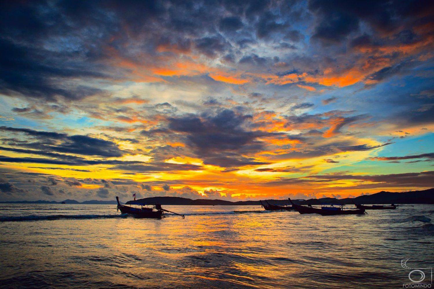 , Mindaugas Navickas