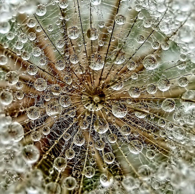 My  world фото превью