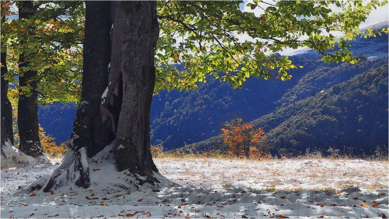 *** фото превью