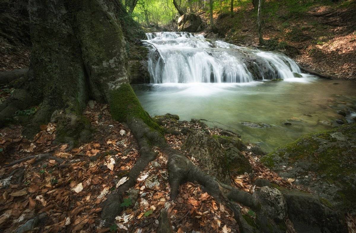 , Денис Сорокин