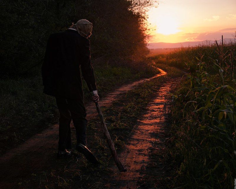 Пора собирать урожай. фото превью