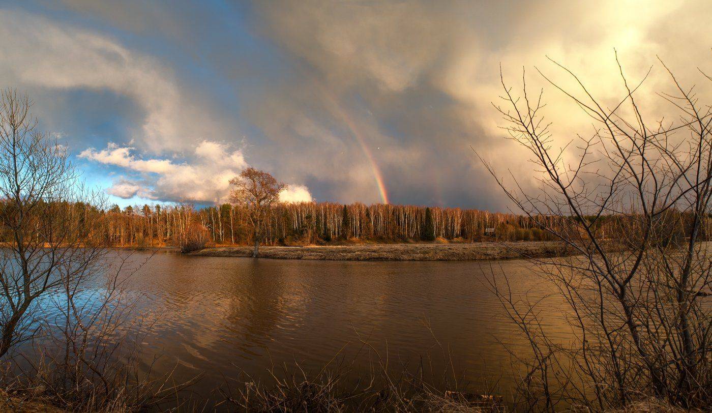 , Евгений Цветков