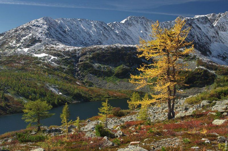 Первый снег фото превью