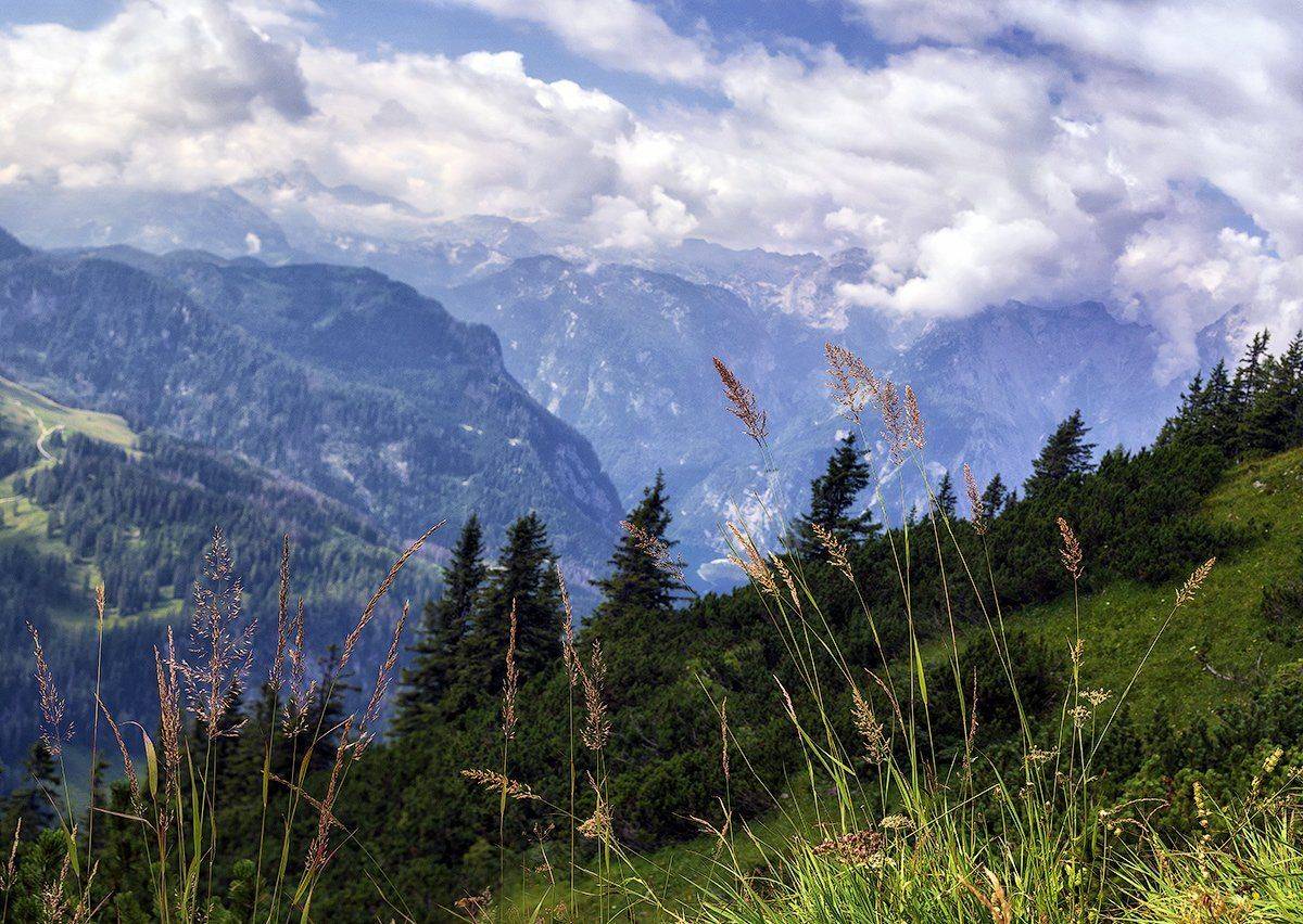 , Игорь Мелекесцев