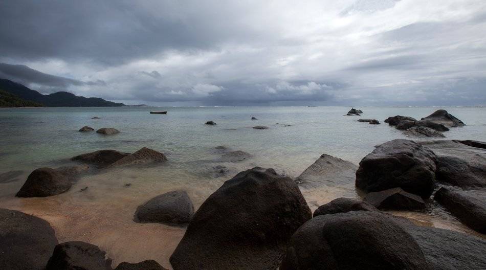 , Людмила Прокофьева