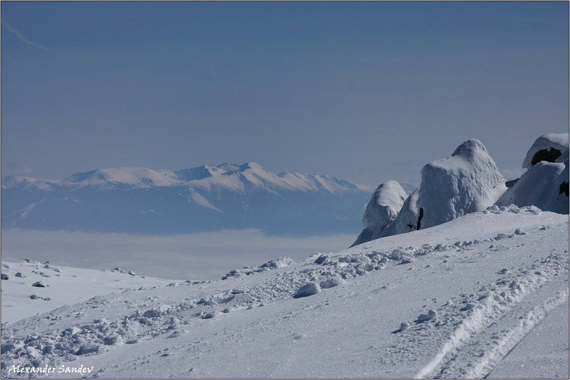 , Александър Сандев