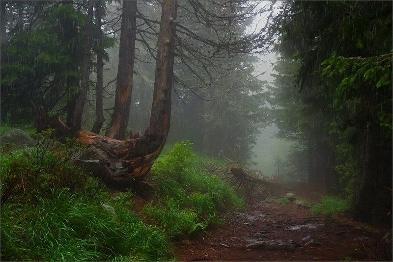 bulgaria, vitosha  фото превью