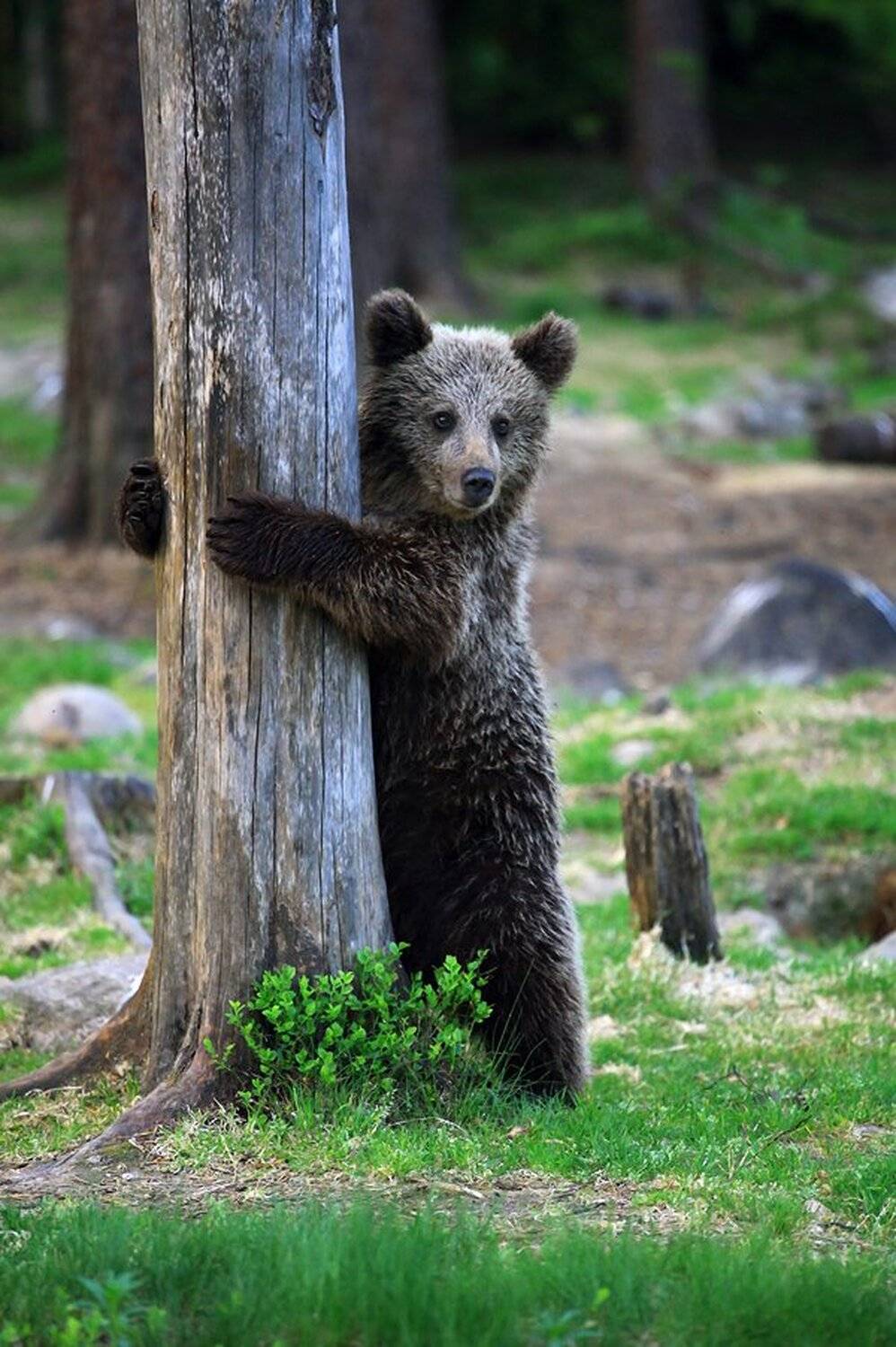 , Valtteri Mulkahainen