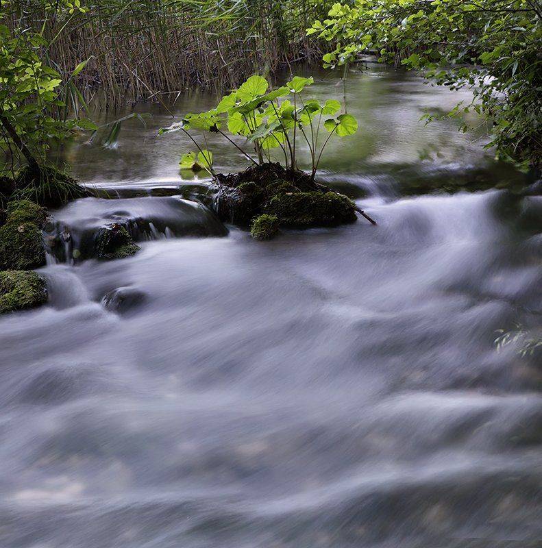 , Игорь Дубровский