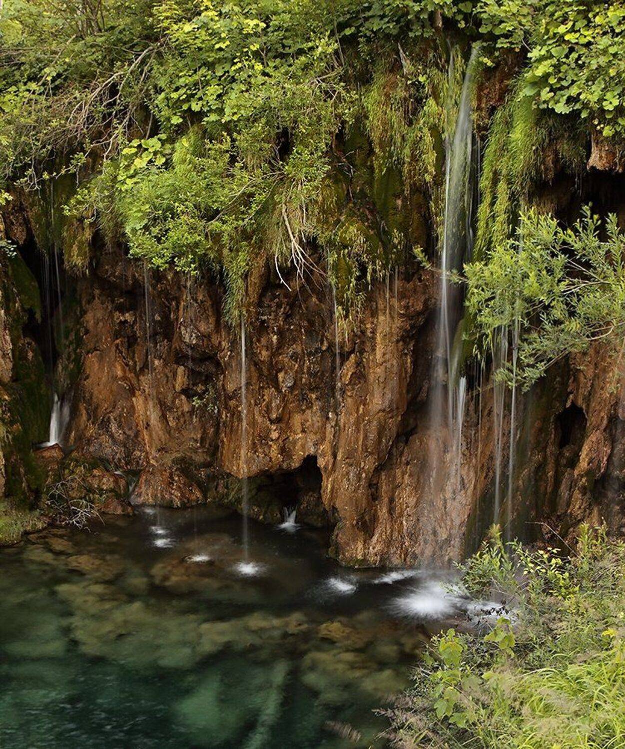 , Игорь Дубровский