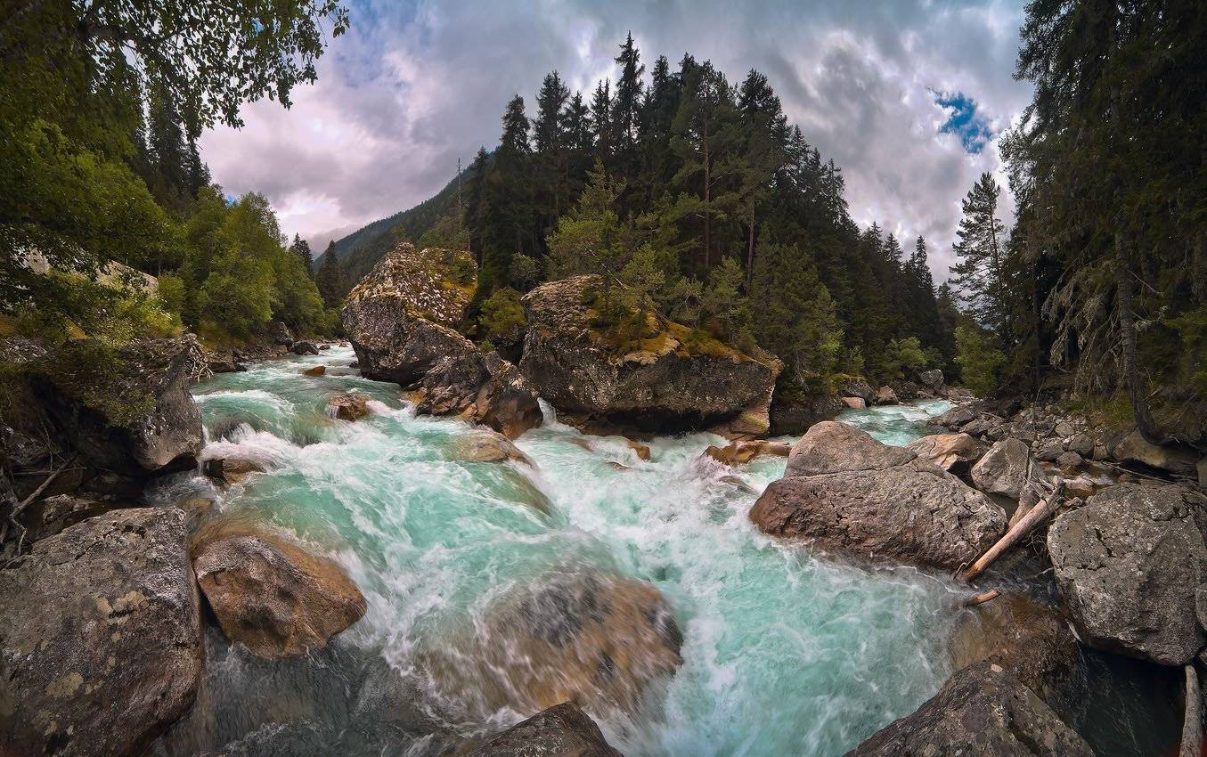 кавказ, гоначхир, лето, Николай Мысливцев