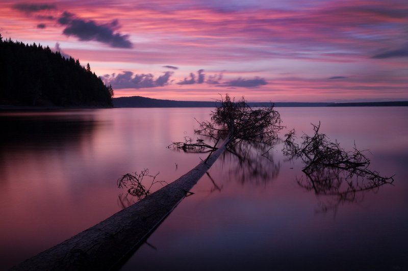 На рассмотрение. фото превью