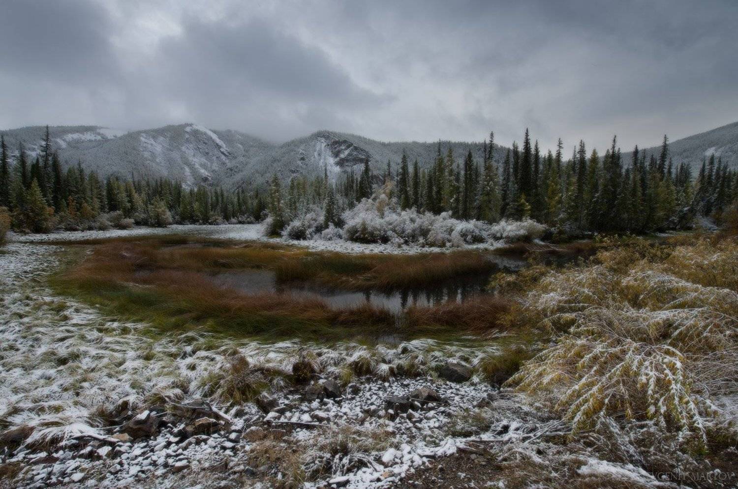 , Евгений Мартов