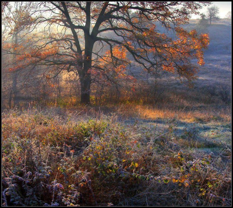 Осенняя... фото превью