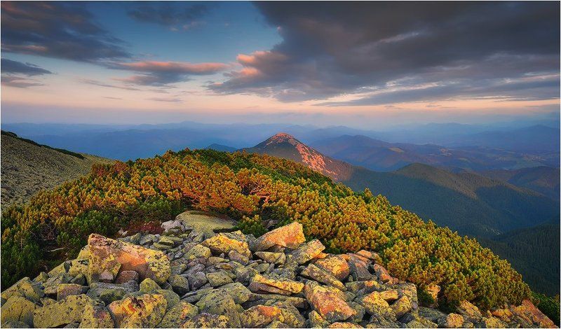 *** фото превью