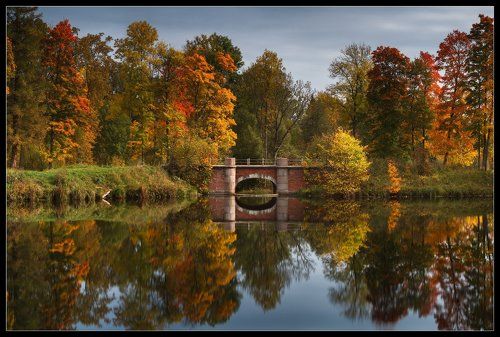 ... про Осень...