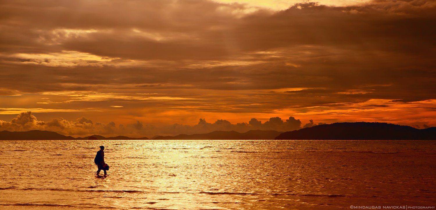 , Mindaugas Navickas