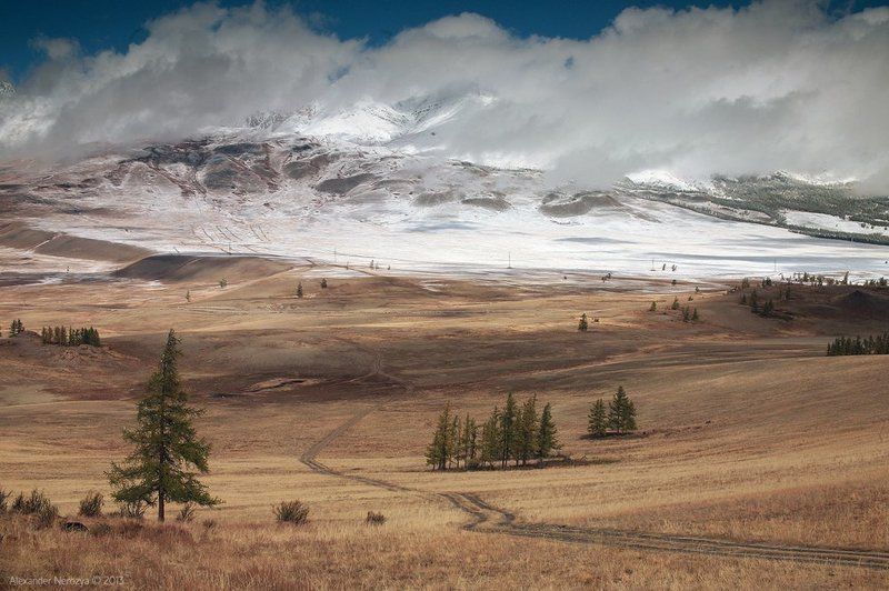 Курайское настроение фото превью