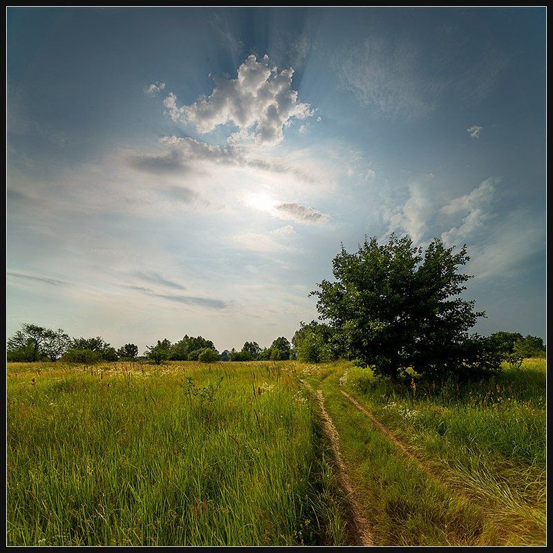 Nikon D600, TOKINA AF17MM F/3.5 AT-X 17AF PR *** фото превью