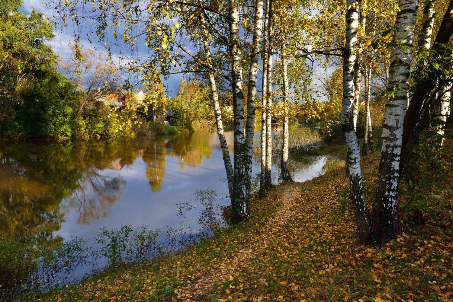 , Максим Евдокимов