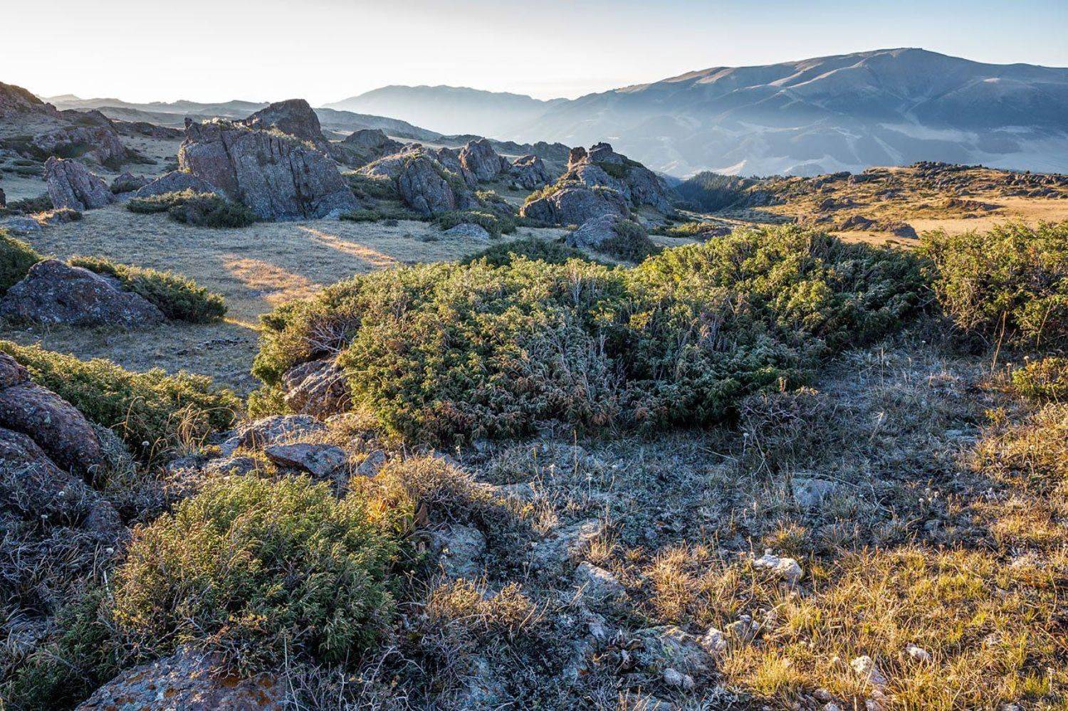 , Сергей Теректі