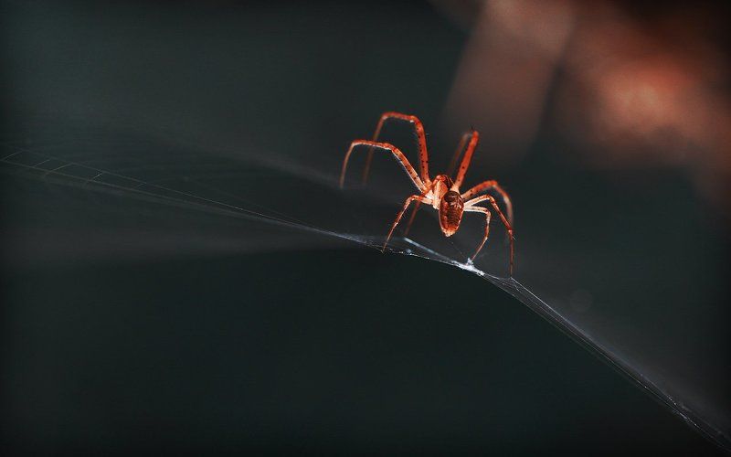 Танцор диско фото превью