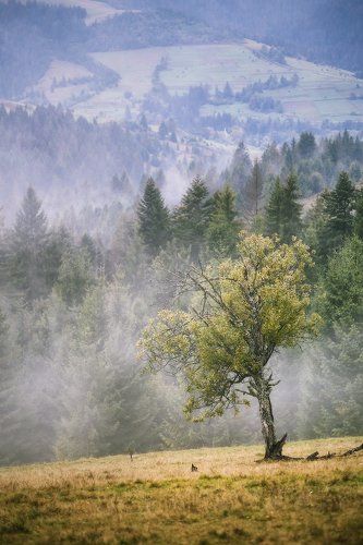 Про сентябрь