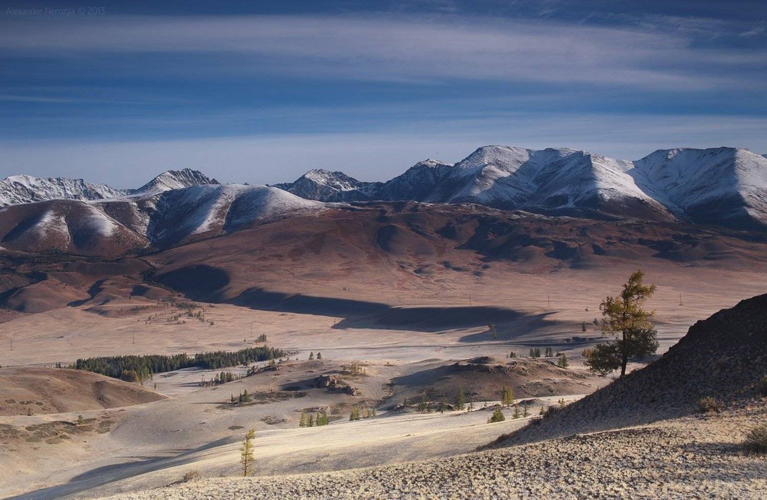 Алтай, Горы, Деревья, Кош-Агач, Курай, Лиственницы, Небо, Россия, Сибирь, Тень, Холмы, Александр 'Horimono' Нерозя