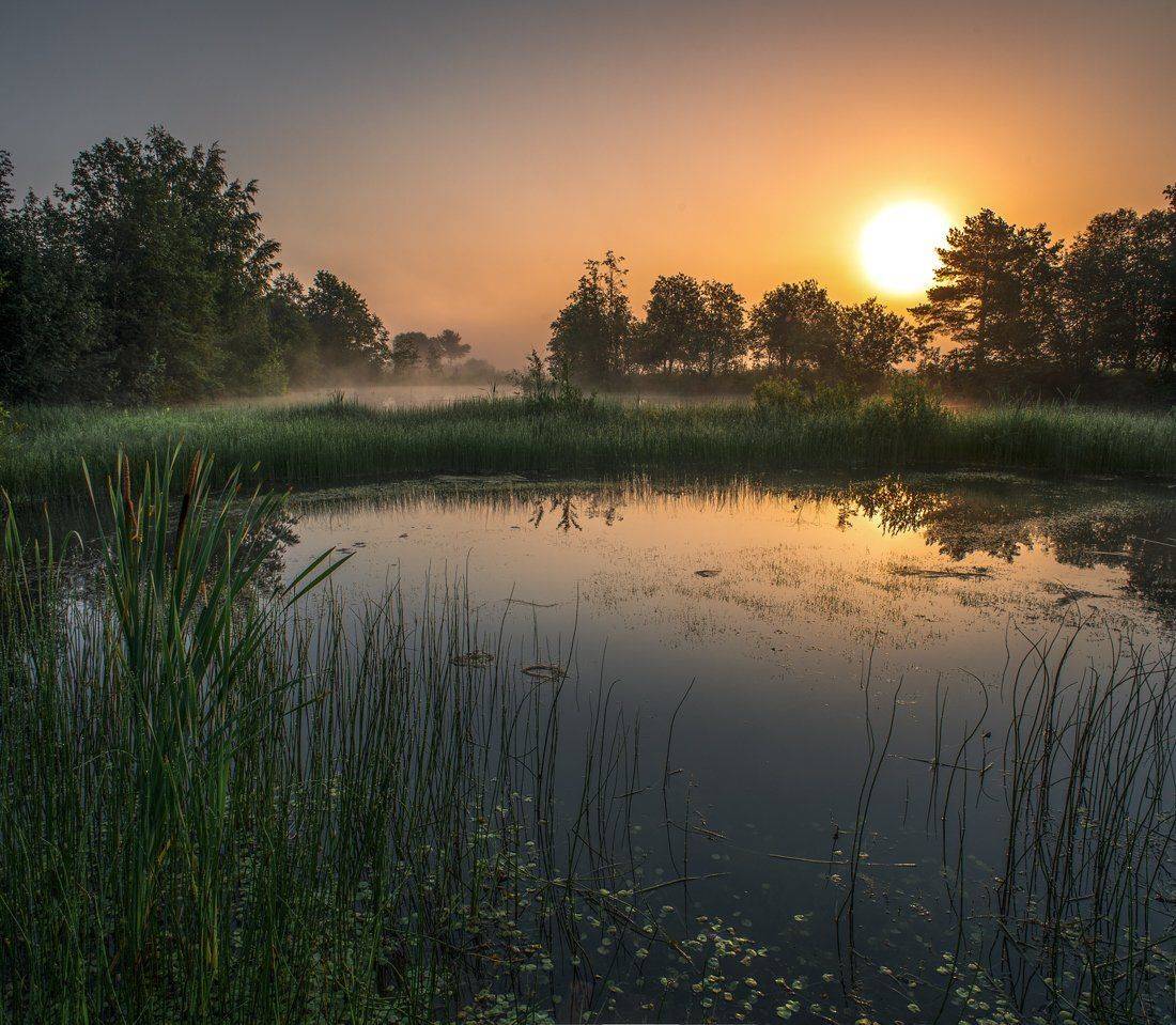 , Евгений Цветков