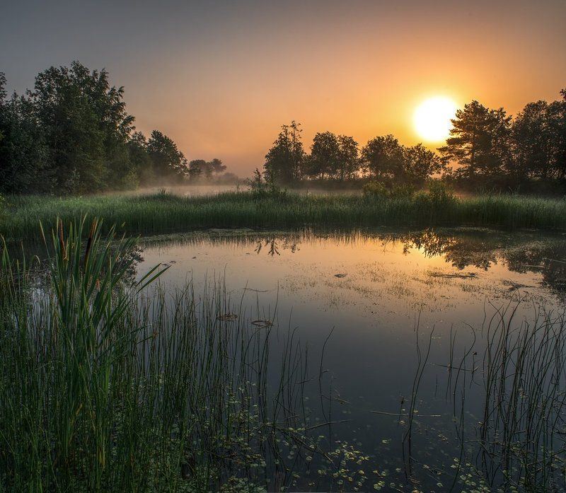 На рассвете фото превью