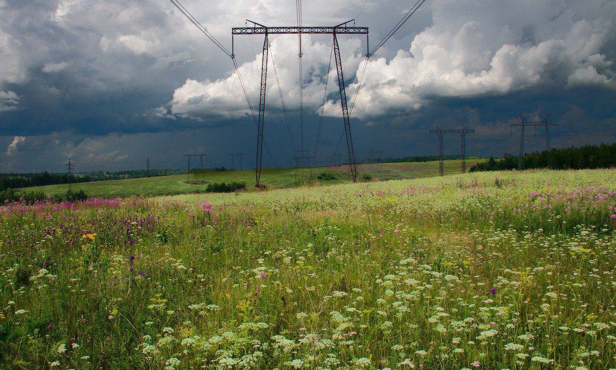 , Николай Морский