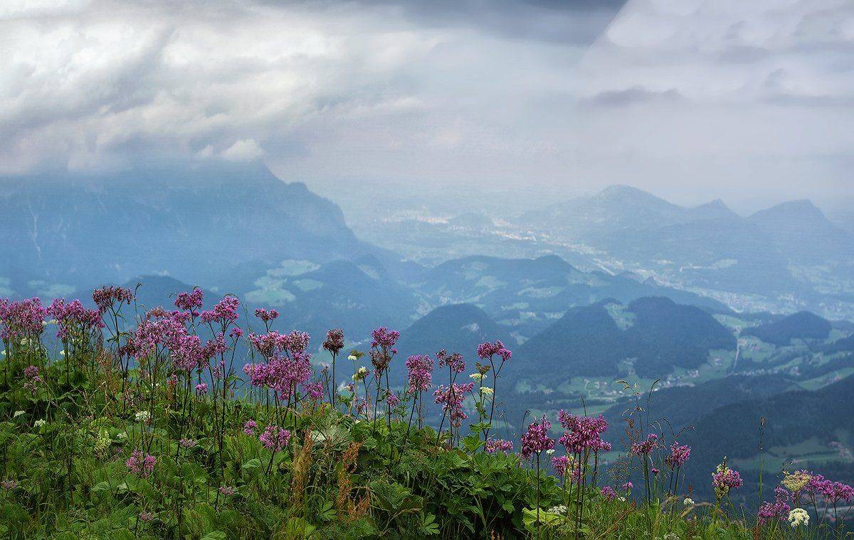 , Игорь Мелекесцев