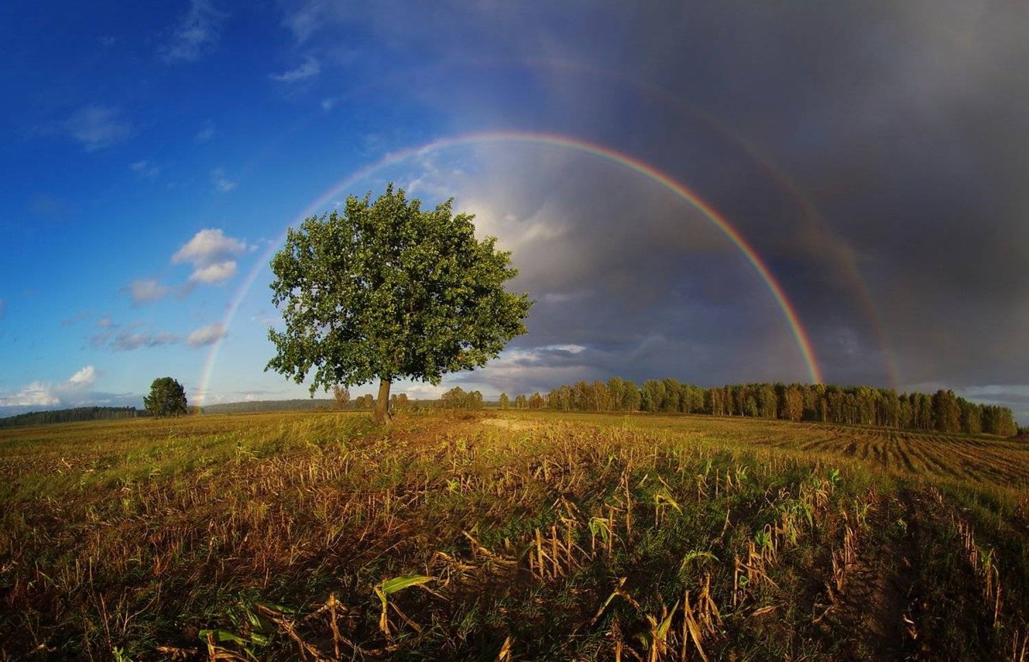 , Сергей Шляга